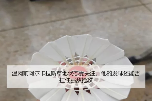 wen-wang-qian-a-er-ka-la-si-cao-di-zhuang-tai-shou-guan-zhu-ta-de-fa-qiu-hai-neng-fou-kang-zhu-qiang-di-qiang-gong-2-841.jpg